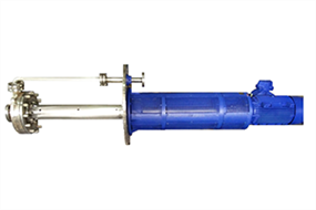 accv-vertical-cantilever-pump